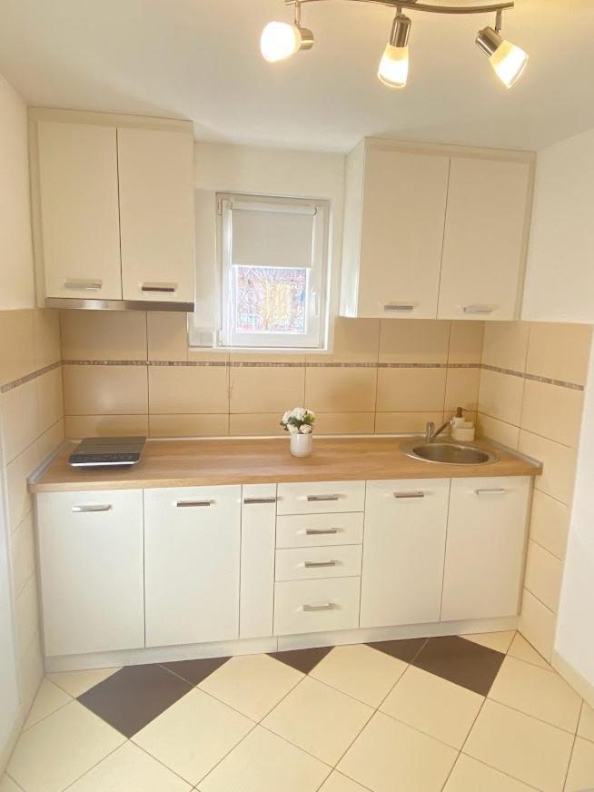 Apartman Mina Mataruska Banja Dış mekan fotoğraf
