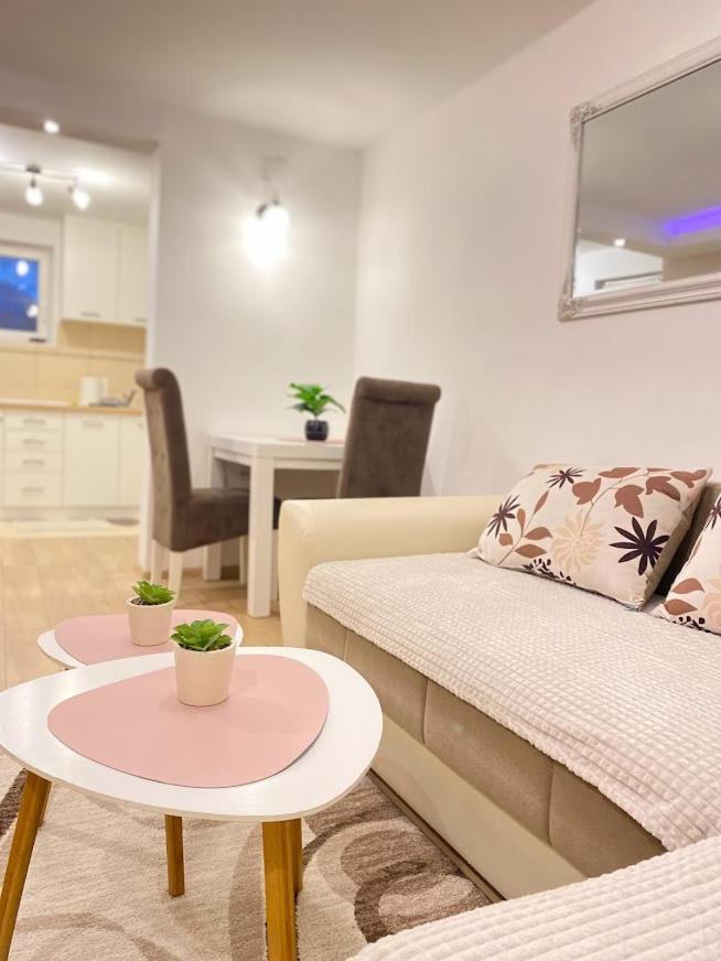 Apartman Mina Mataruska Banja Dış mekan fotoğraf