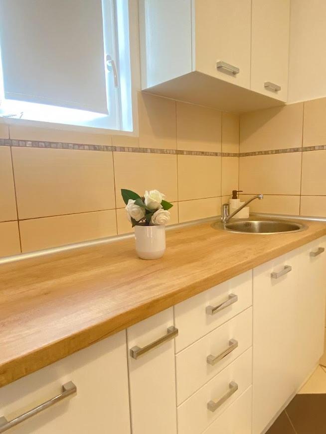 Apartman Mina Mataruska Banja Dış mekan fotoğraf