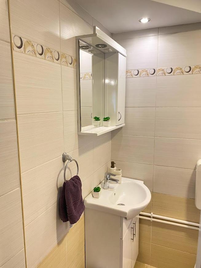 Apartman Mina Mataruska Banja Dış mekan fotoğraf