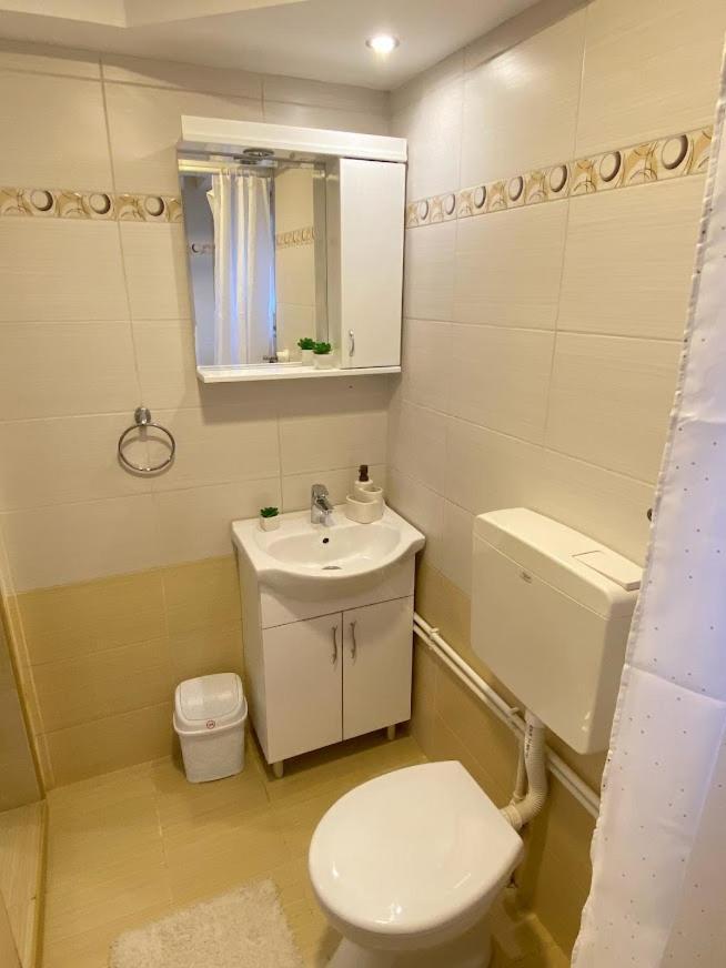 Apartman Mina Mataruska Banja Dış mekan fotoğraf