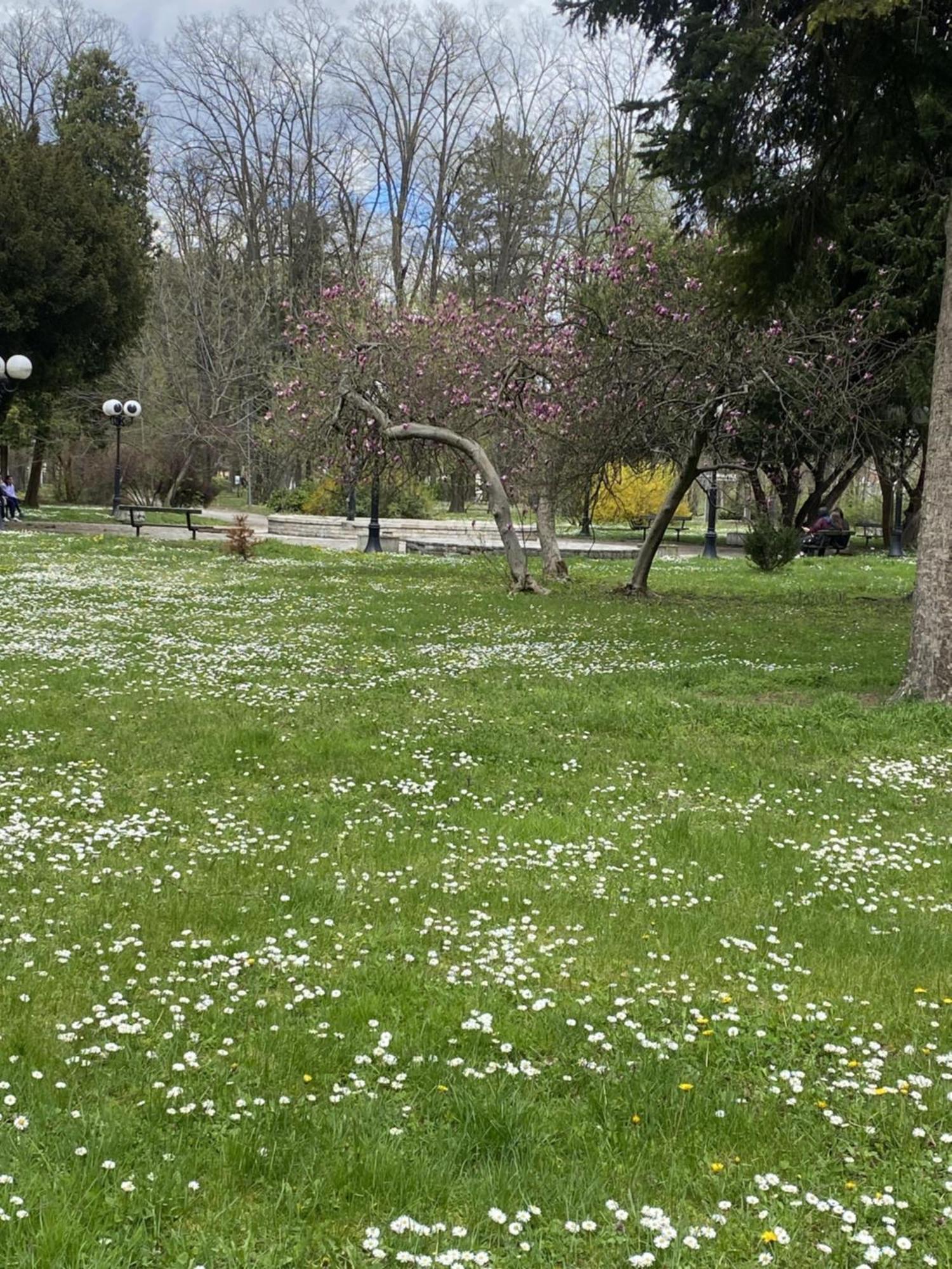 Apartman Mina Mataruska Banja Dış mekan fotoğraf